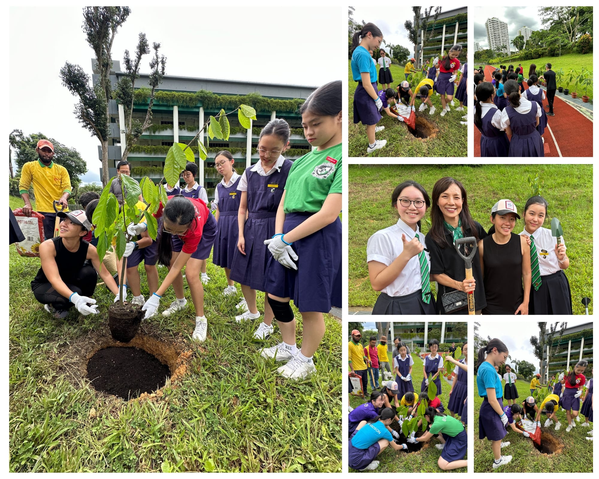 Students in school uniforms plant young trees outdoors on grass near a school building during a tree planting event.